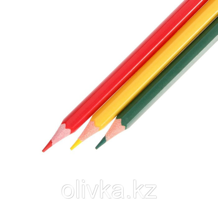 Карандаши 6 цветов Calligrata, ЭКОНОМ, заточенные, шестигранные, пластиковые, картонная упаковка, европодвес - фото 3 - id-p110925795