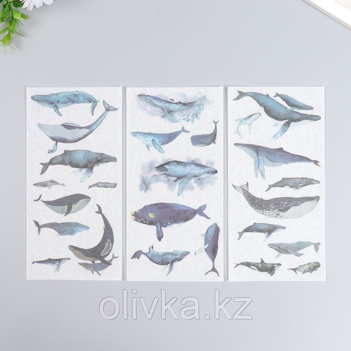 Наклейки "Парящие киты" набор 3 листа 10х20 см - фото 1 - id-p110947109