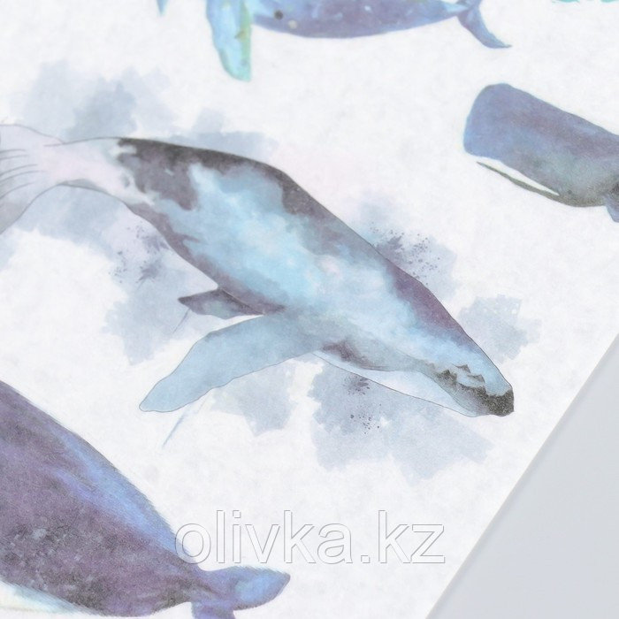 Наклейки "Парящие киты" набор 3 листа 10х20 см - фото 2 - id-p110947109