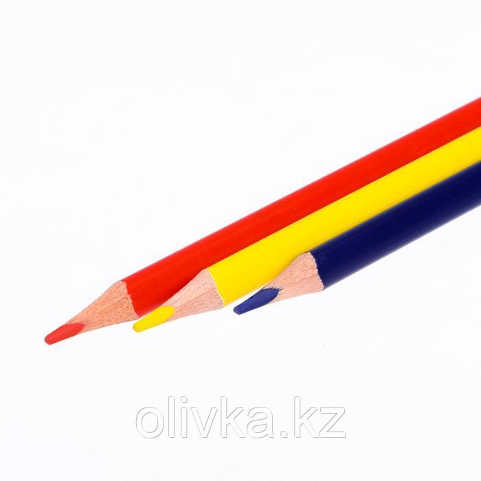 Цветные карандаши 6 цветов "Школа Творчества", трёхгранные - фото 5 - id-p110926769