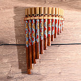Музыкальный инструмент Флейта Пана 28х19,5х6,5 см МИКС, фото 7