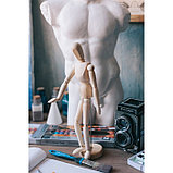 Модель деревянная художественная манекен "Человек", 30 см, фото 2