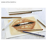 Набор художественный Faber-Castell "Классический" 6 предметов (чернографитный карандаш 2B, растушёвка, пастель, фото 2