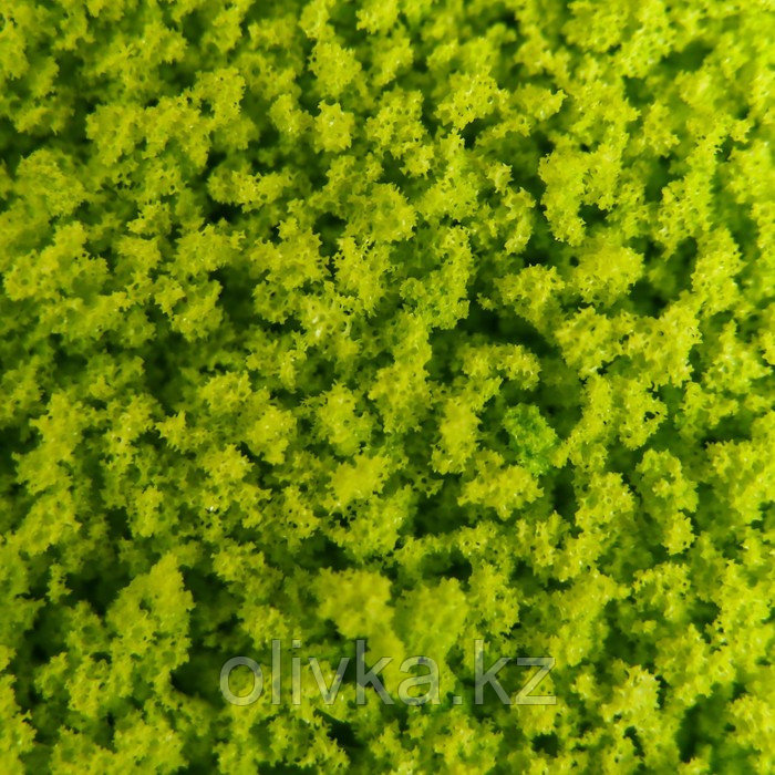 Декор для создания миниатюр (деревья, газон) порошок "Жёлто-зелёный" набор 20 гр - фото 2 - id-p110920321