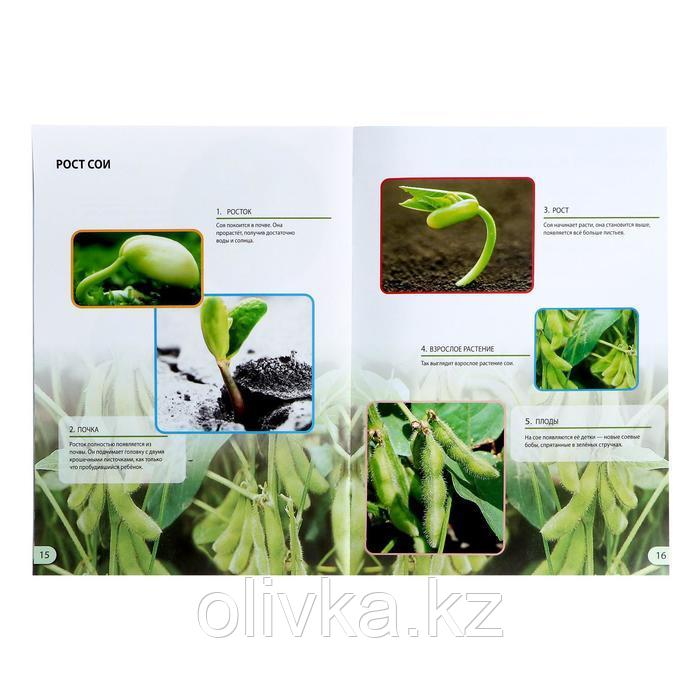 Набор для опытов «Наука о растениях», 16 опытов - фото 3 - id-p110924017