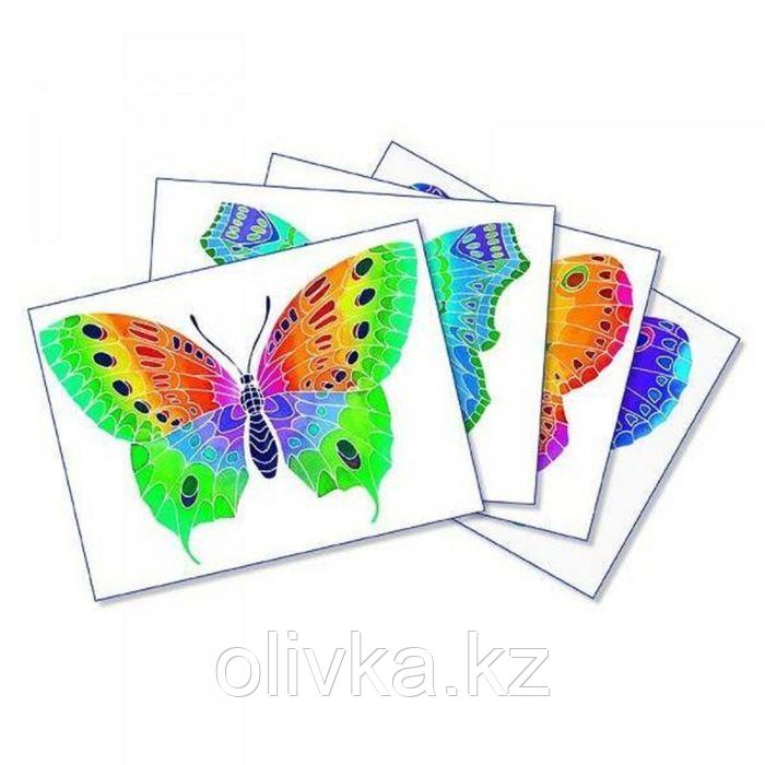 Раскраска акварельная "Бабочка" - фото 1 - id-p110911432