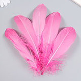 Набор декоративных перьев 160-190 мм (5 шт), розовый, фото 3