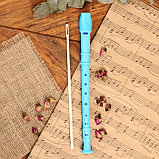 Блокфлейта Music Life, голубая, немецкая система, сопрано, 30 см, фото 2
