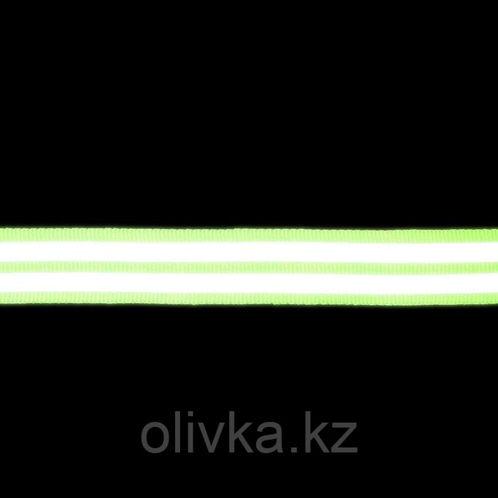 Светоотражающая лента-стропа, 20 мм, 5 ± 1 м, 2 полосы, цвет салатовый - фото 4 - id-p110910588