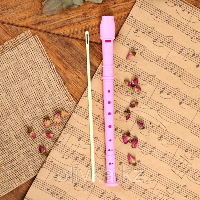 Блокфлейта Music Life, розовая, немецкая система, сопрано, 30 см - фото 2 - id-p110945256