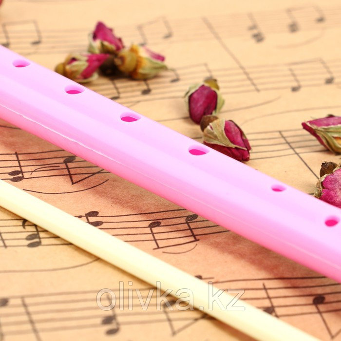 Блокфлейта Music Life, розовая, немецкая система, сопрано, 30 см - фото 4 - id-p110945256