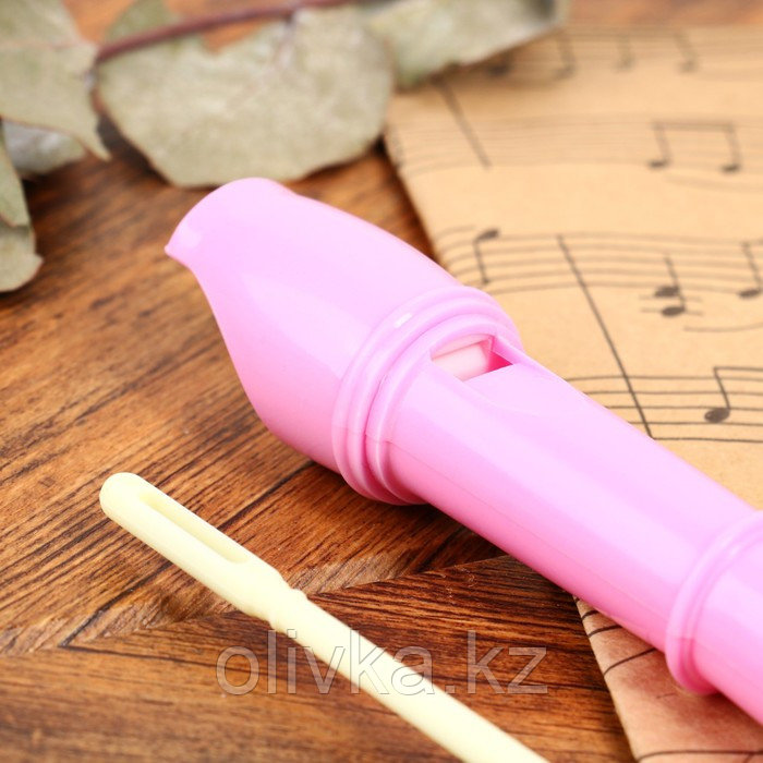 Блокфлейта Music Life, розовая, немецкая система, сопрано, 30 см - фото 5 - id-p110945256