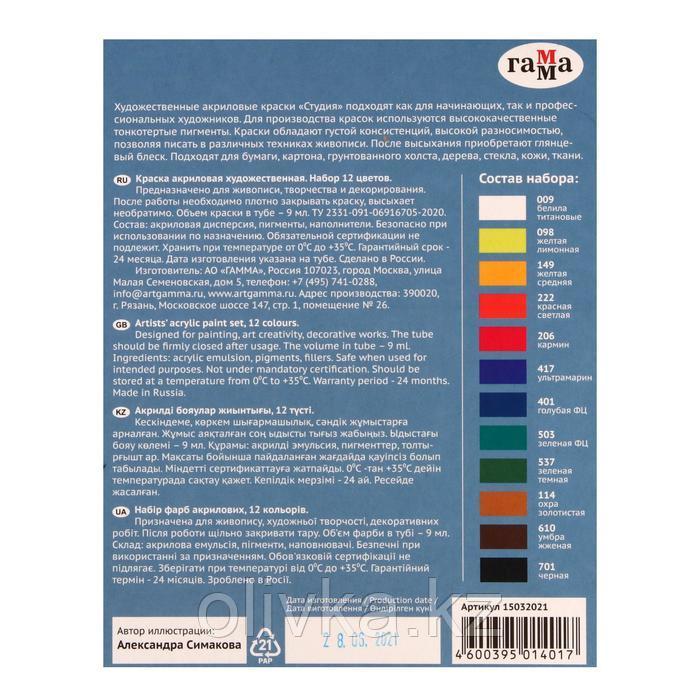 Краска акриловая в тубе, набор 12 цветов х 9 мл, Гамма "Студия", морозостойкая, 15032021 - фото 3 - id-p110928862