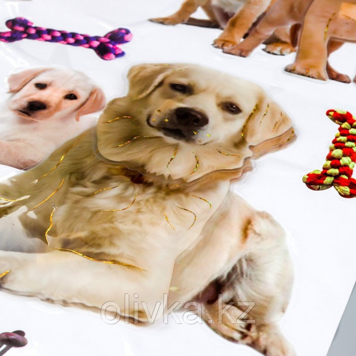 Наклейка пластик 2D "Кошки и собаки" МИКС 54х35,5 см - фото 4 - id-p110930714