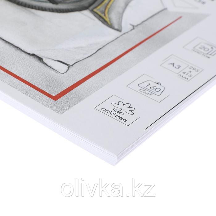 Бумага для рисования А3, 20 листов Fine Line, индивидуальная упаковка, 160 г/м2 - фото 2 - id-p110923206