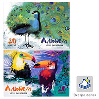 Альбом для рисования А4, 20 листов, на клею, Erich Krause "Птицы жарких стран", обложка мелованный картон,