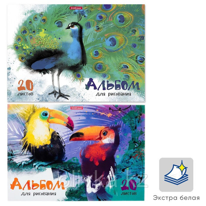 Альбом для рисования А4, 20 листов, на клею, Erich Krause "Птицы жарких стран", обложка мелованный картон, - фото 1 - id-p110918628