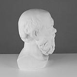 Гипсовая фигура Голова Сократа, 20 х 20 х 38,5 см, фото 2