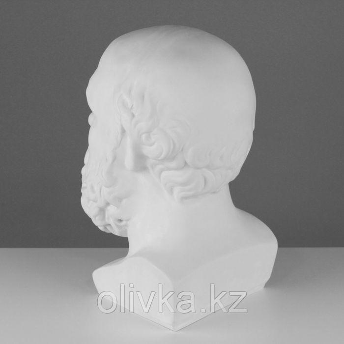 Гипсовая фигура Голова Сократа, 20 х 20 х 38,5 см - фото 3 - id-p110913264