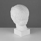 Гипсовая фигура Голова Музы, 20,5 х 23,5 х 34 см, фото 3