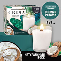 "Coconut" шырағын жасауға арналған жиынтық