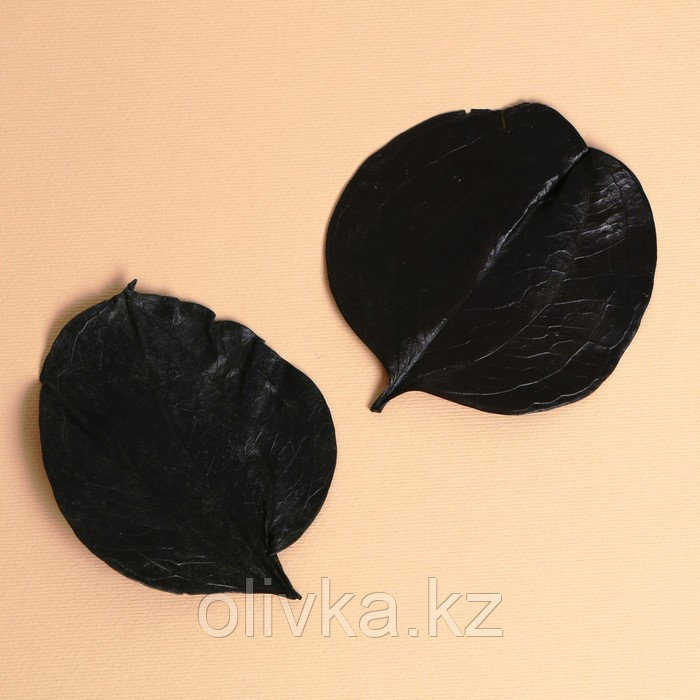 Сухие листья, набор 2 шт., размер 1 шт: 6,5 × 7 см - фото 1 - id-p110933738