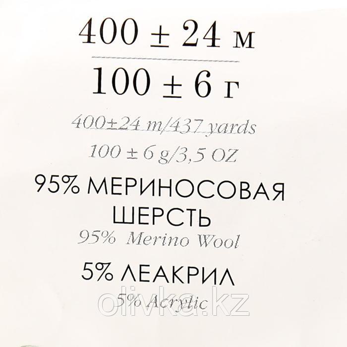 Пряжа "Австралийский меринос" 95%мер. шерсть,5% акрил объёмный 400м/100гр (374-Розовый беж) - фото 4 - id-p110925141