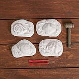 Набор археолога «Моллюски», серия: 4 брикета, молоток, долото, фото 2