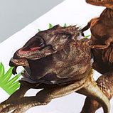 Наклейка пластик интерьерная 3D "Динозавры" МИКС 50х32 см, фото 3