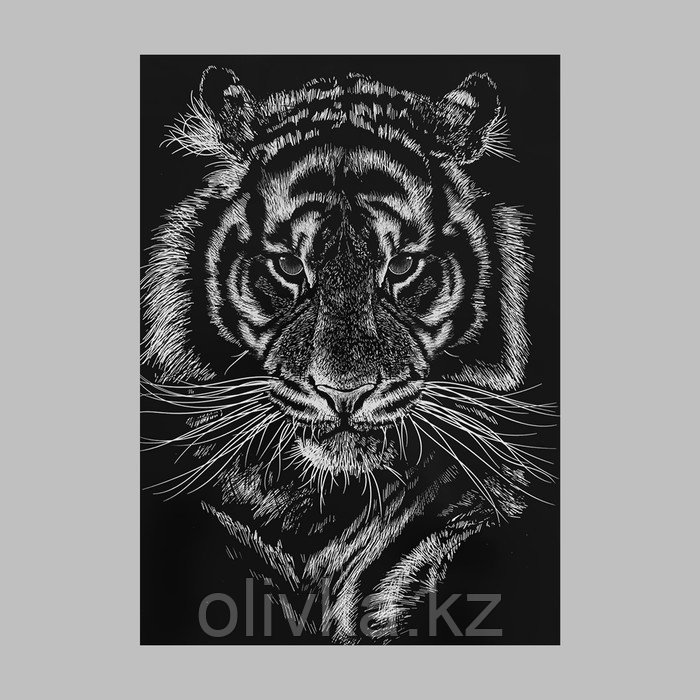 Термотрансфер «Портрет тигра», 22 × 28 см - фото 3 - id-p110932773