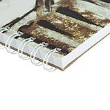 Блокнот для рисунков, А5, 30 листов, на спирали, ЗХК "Сонет", 150 г/м², фото 2
