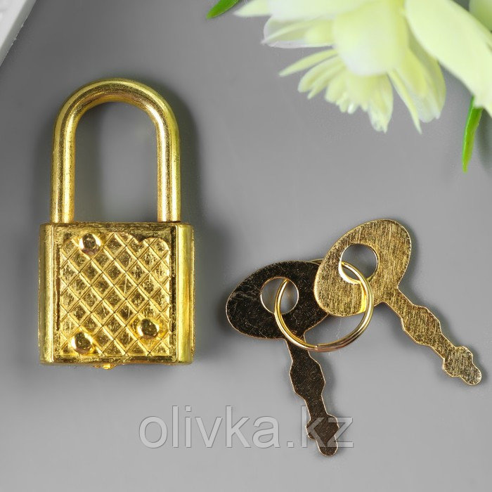 Замочек с ключиком для шкатулки металл набор 5 шт С286 золото 3,1х1,7 см - фото 1 - id-p110916871