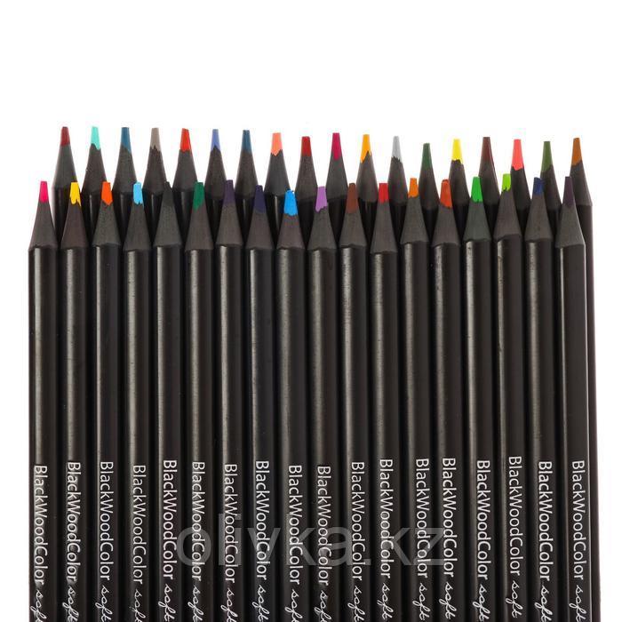 Карандаши цветные 36 цветов BlackWoodColor, пластиковые, трёхгранные, МИКС - фото 3 - id-p110926109