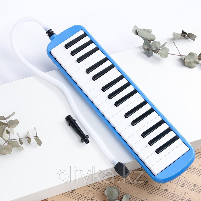 Музыкальный инструмент Мелодика Music Life, синяя, 32 клавиши, чехол - фото 1 - id-p110948444