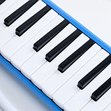 Музыкальный инструмент Мелодика Music Life, синяя, 32 клавиши, чехол, фото 2