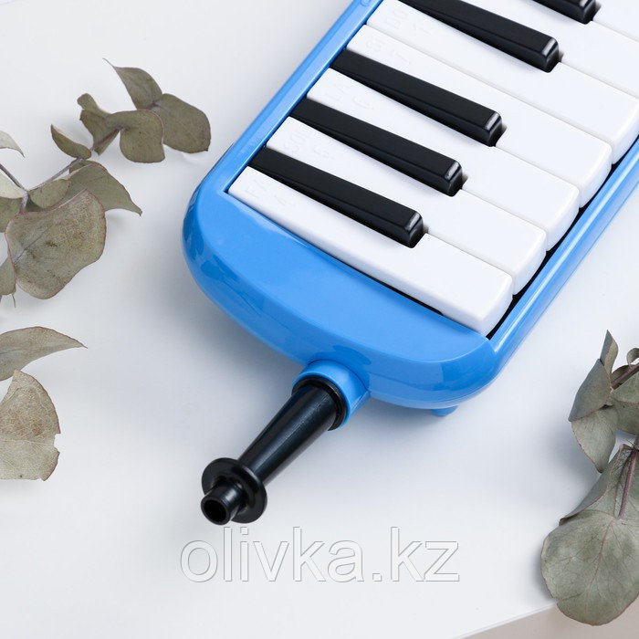 Музыкальный инструмент Мелодика Music Life, синяя, 32 клавиши, чехол - фото 3 - id-p110948444