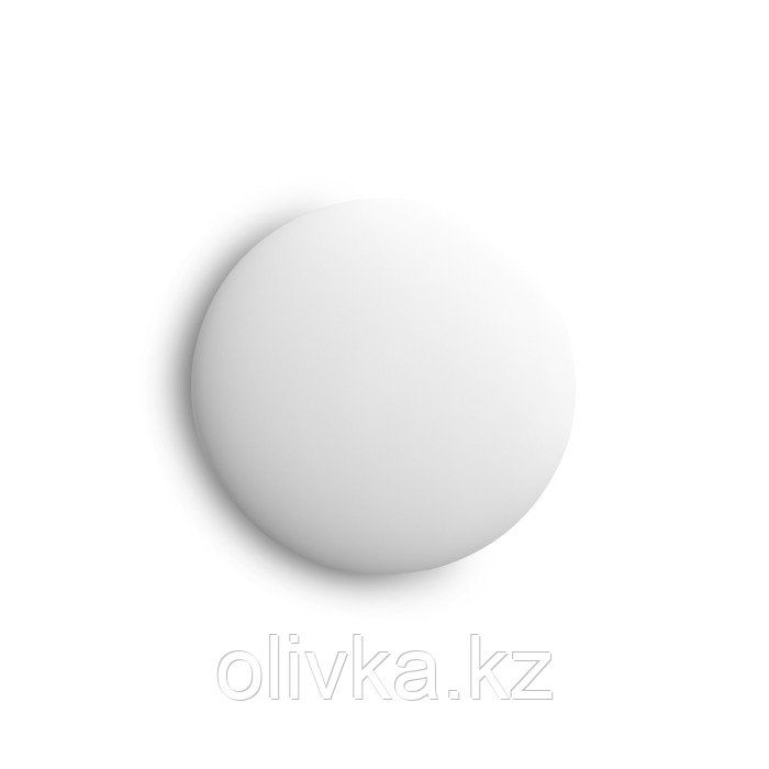 Эмаль-аэрозоль Белый Матовый 520мл CORALINO RAL9003 - фото 4 - id-p110948456
