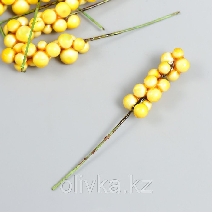Декор для творчества "Веточка с ягодами" жёлтый набор 10 шт 1х1х9 см - фото 1 - id-p110939573