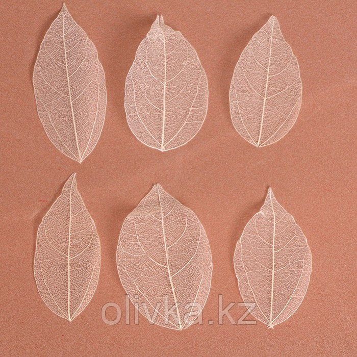 Сухие листья, (набор 5 шт), размер 1 шт:: 8×5 см, цвет белый - фото 2 - id-p110916028