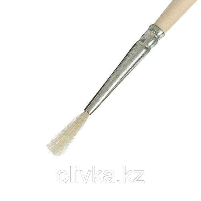 Кисть Коза круглая №1 (диаметр обоймы 1 мм; длина волоса 10 мм), деревянная ручка, Calligrata - фото 2 - id-p110919686