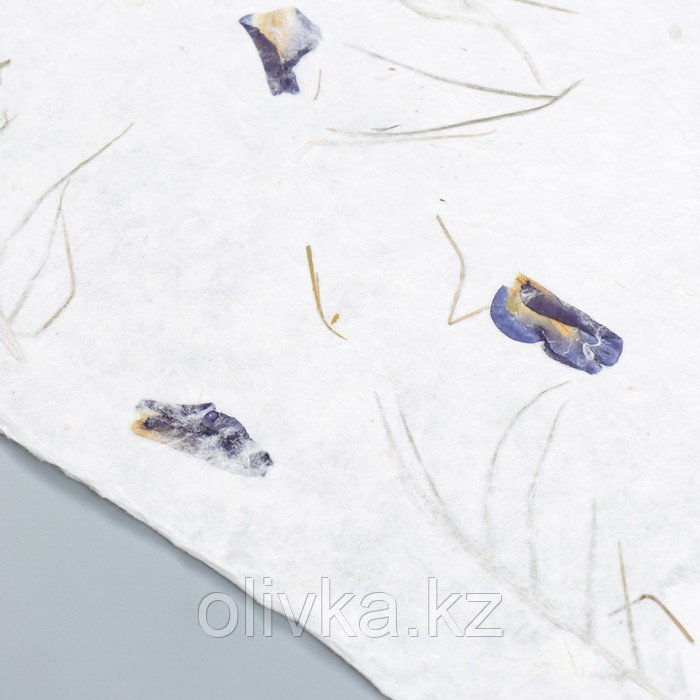 Бумага ручной работы с цветами и травами "Синие лепестки" 55х80 см - фото 2 - id-p110934826