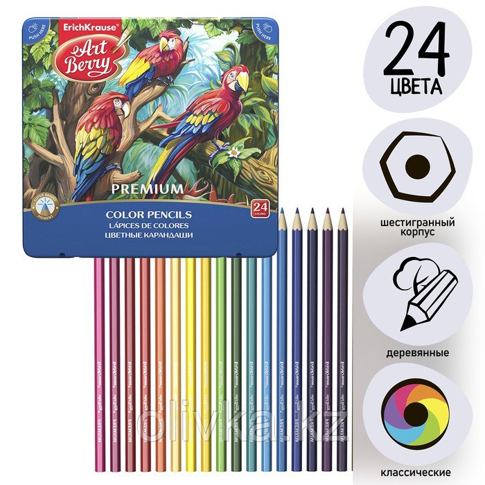Карандаши 24 цвета ErichKrause ArtBerry премиум, дерево, шестигранные, яркий и мягкий грифель 3.0 мм, - фото 1 - id-p110916043