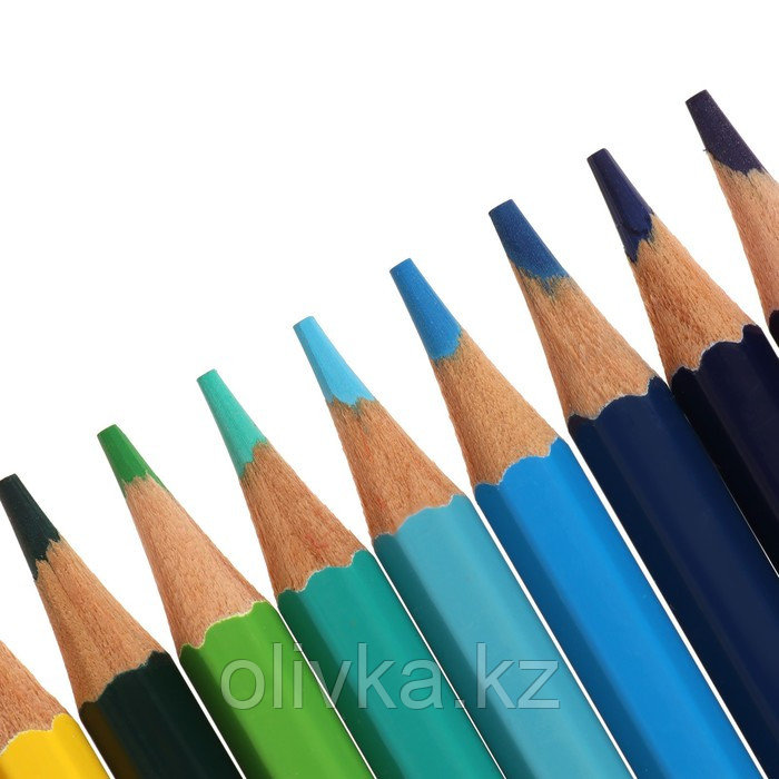 Карандаши акварельные 24 цвета, Луч "Классика", с кистью - фото 3 - id-p110941540