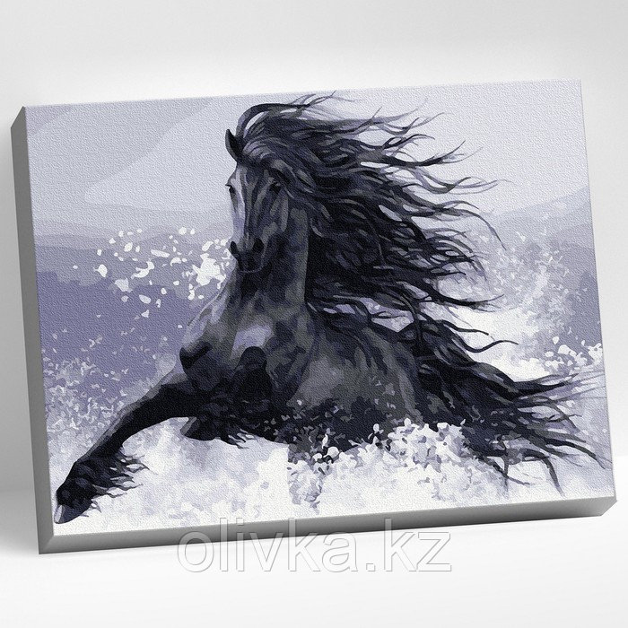 Картина по номерам 40 × 50 см «Конь вороной» 9 цветов - фото 1 - id-p110950489