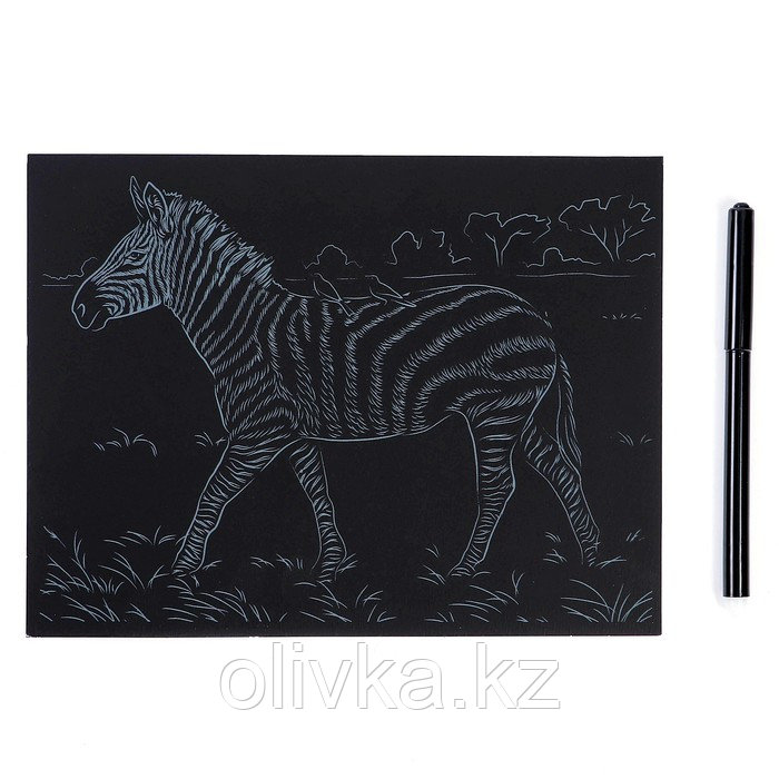 Гравюра 18 × 24 см, Животные Африки «Быстрая зебра» (серебро) - фото 3 - id-p110950500