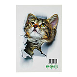 Наклейка 3Д интерьерная Кошка 25*17см, фото 2