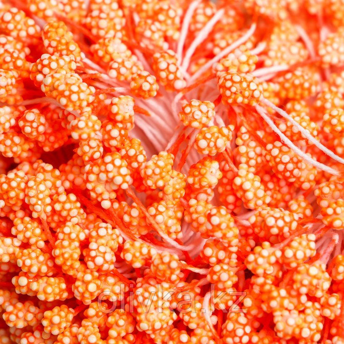 Тычинки для цветов "Капельки пузырьковые оранж" 4х7 мм набор 700 шт длина 6,5 см - фото 3 - id-p110932882
