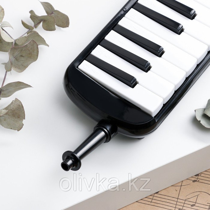 Музыкальный инструмент Мелодика Music Life, черная, 32 клавишы, чехол - фото 3 - id-p110947504