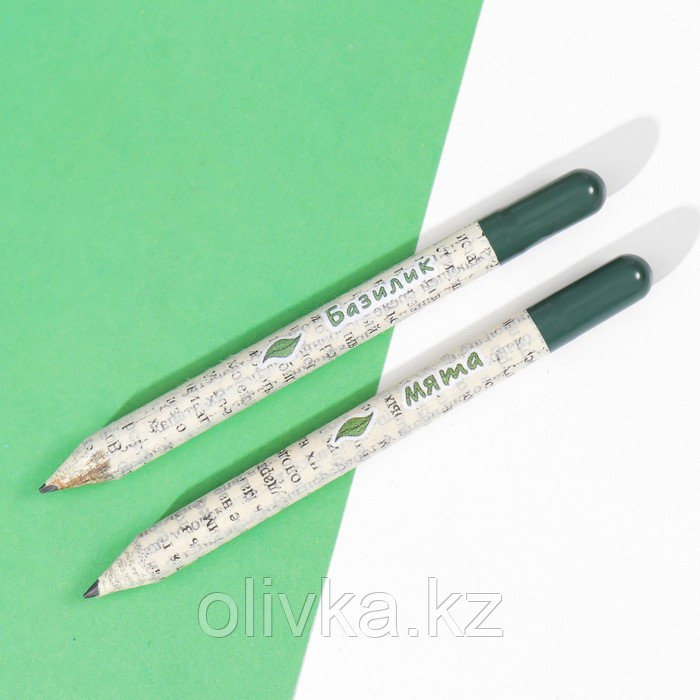 Растущие подарочные карандаши mini "Базилик + Мята" набор 2 шт. - фото 4 - id-p110941561