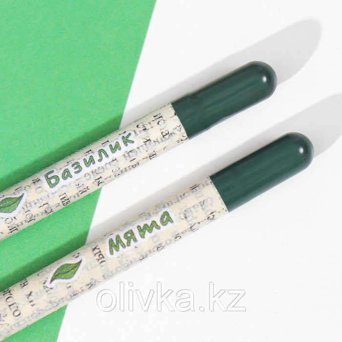 Растущие подарочные карандаши mini "Базилик + Мята" набор 2 шт. - фото 5 - id-p110941561